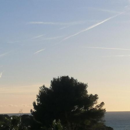 Sanary Les Gorguettes, Studio Avec Terrasse Vue Mer, A 10 Min A Pieds De La Plage Exterior photo